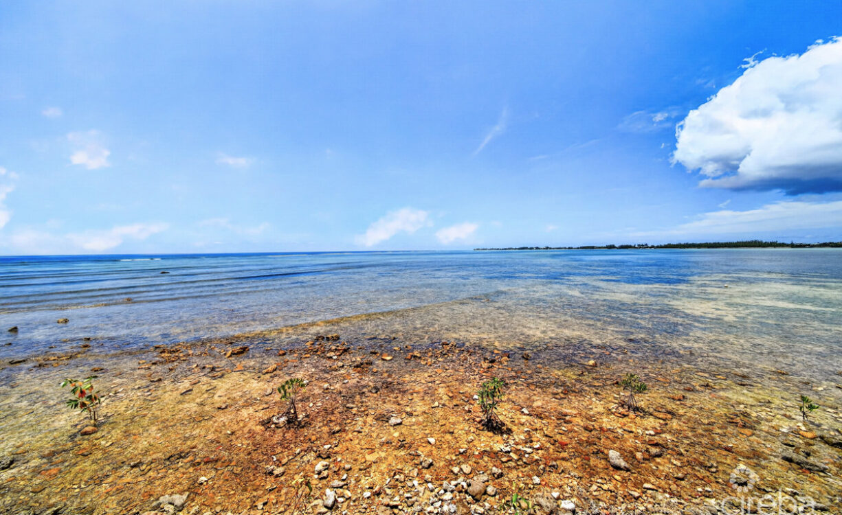 PALACADES VILLA 1 - OCEANFRONT PRIVACY