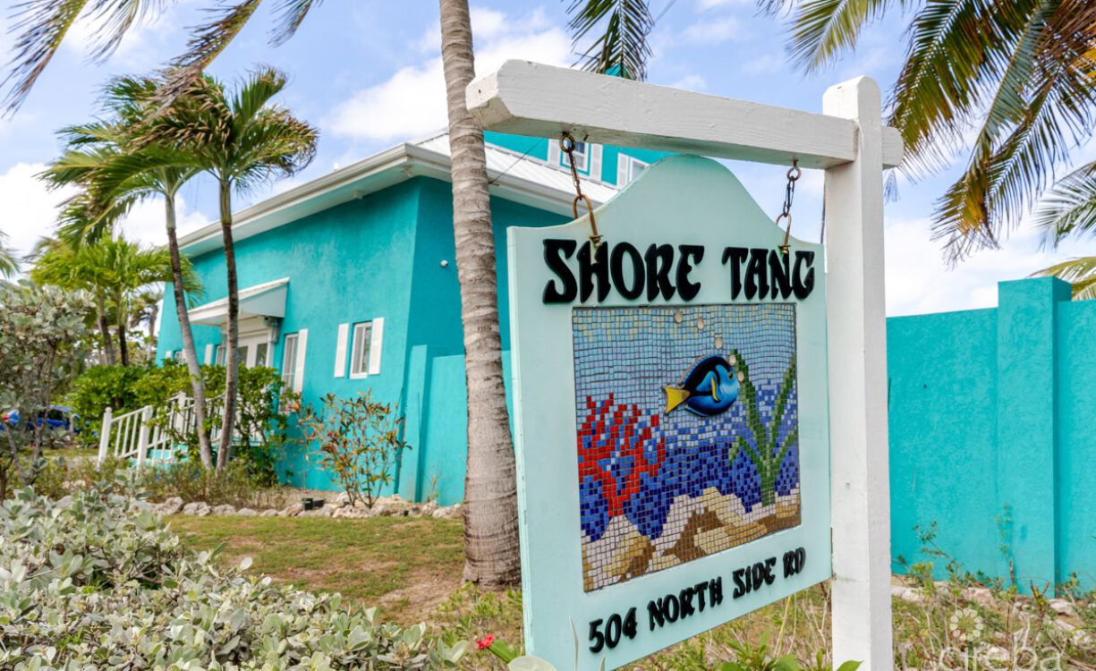 SHORE TANG