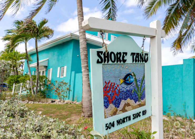 SHORE TANG