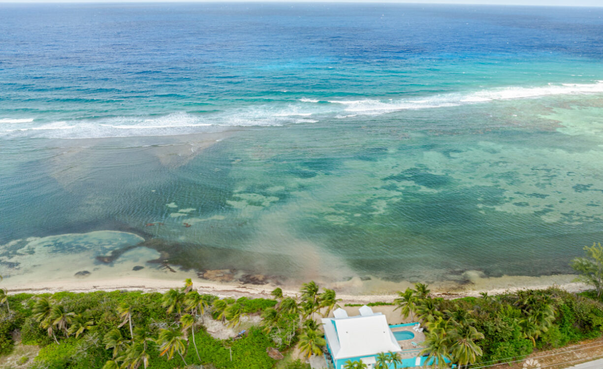 SHORE TANG