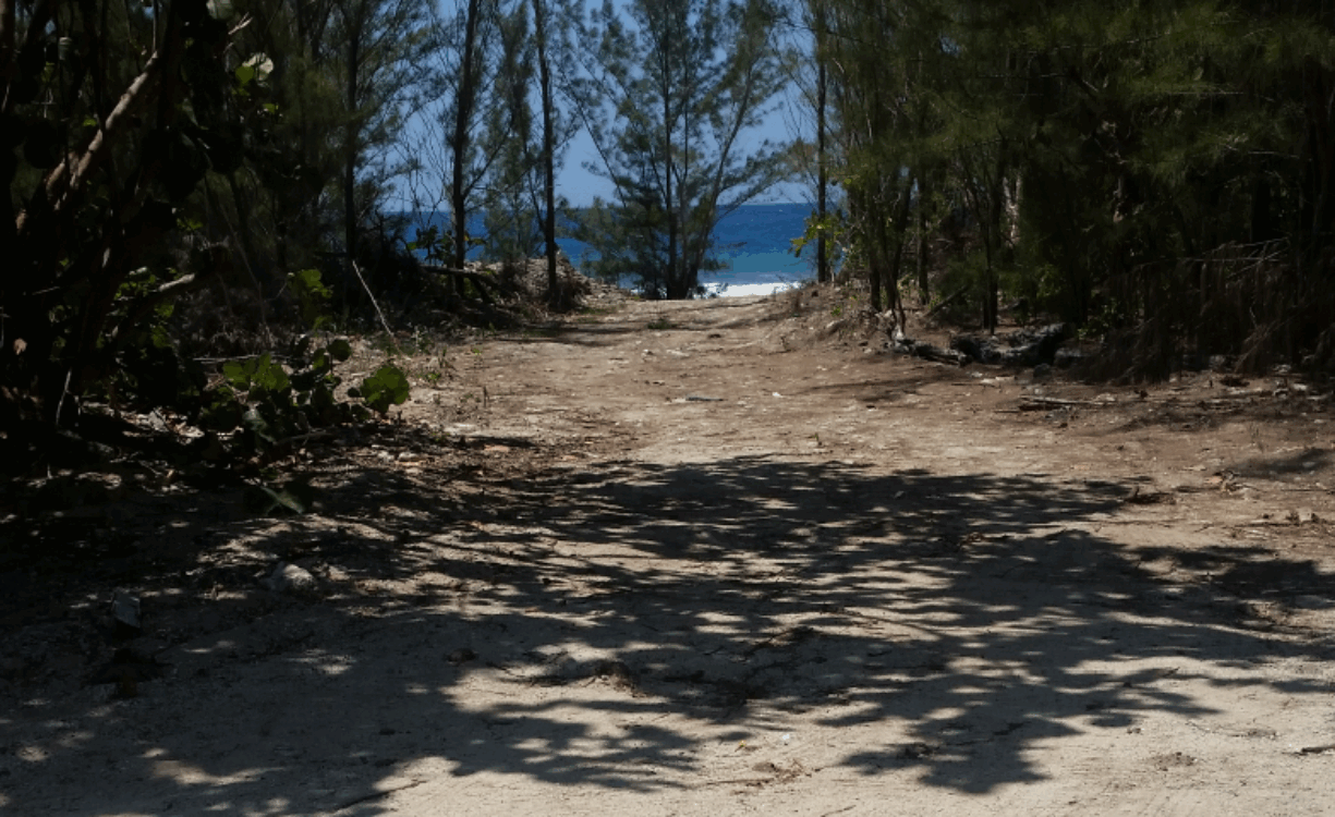 SPOTTS OCEANFRONT  LAND