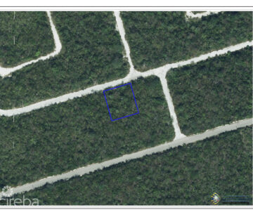 CAYMAN BRAC LOT ON BLUFF AT SELWORTHY GROVES