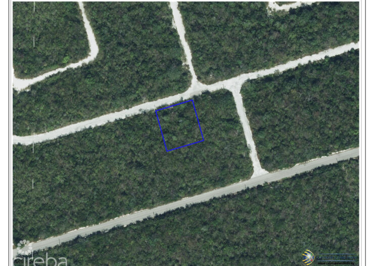 CAYMAN BRAC LOT ON BLUFF AT SELWORTHY GROVES