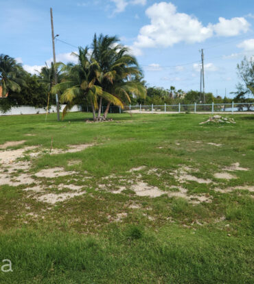 DUPLEX DEVELOPMENT OPPORTUNITY OFF SEVEN MILE CORRIDOR