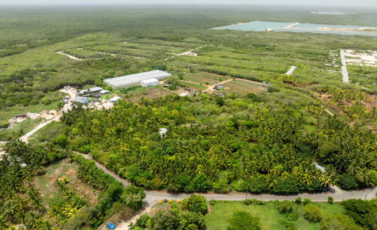 EAST END GARDENS & GIFTS FARM LAND