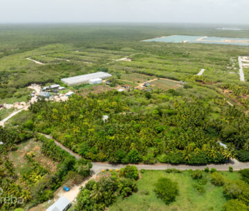 EAST END GARDENS & GIFTS FARM LAND