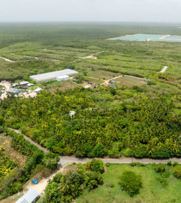 EAST END GARDENS & GIFTS FARM LAND