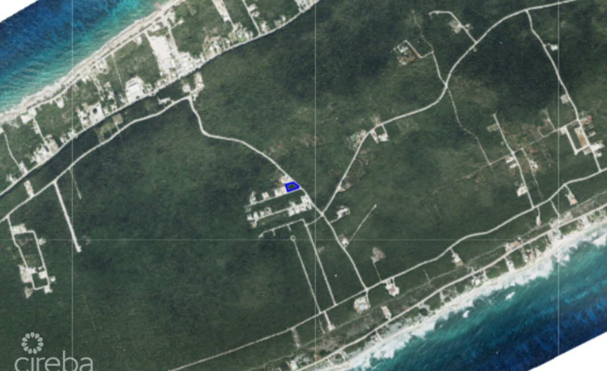 BRAC BLUFF LAND - RESIDENTIAL DEVELOPMENT, CORNER LOT .3