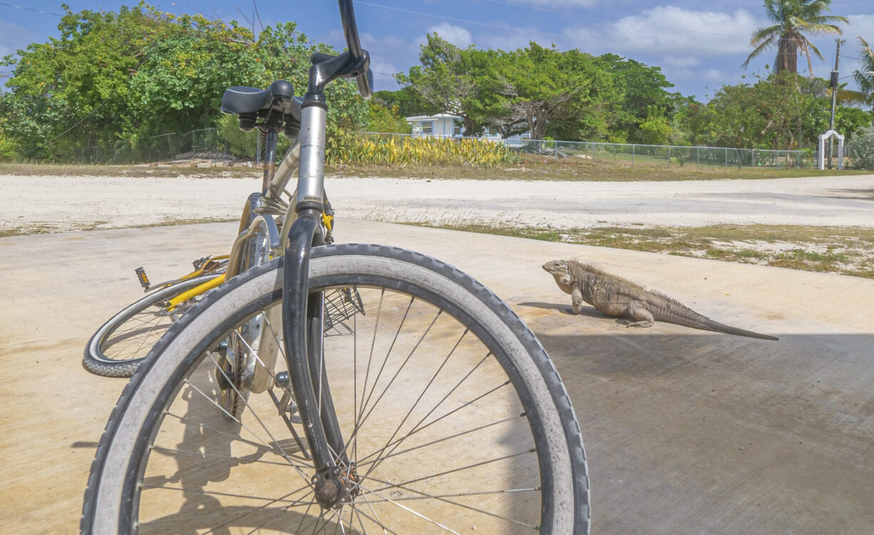 LITTLE CAYMAN LAND 2.5 ACRES - BY AIRPORT