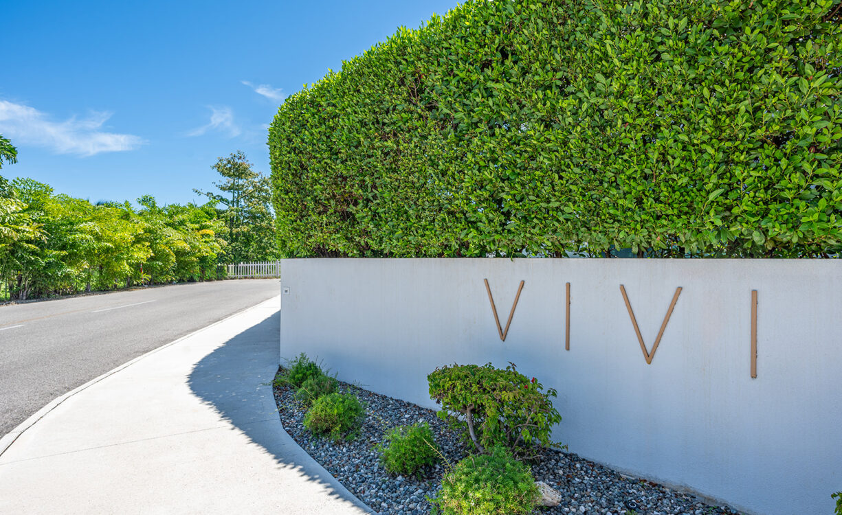 VIVI 8